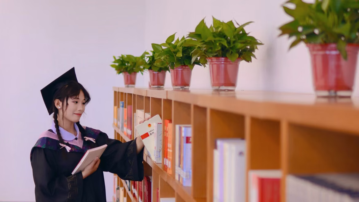 Filières post-bac en France : le guide complet 2026